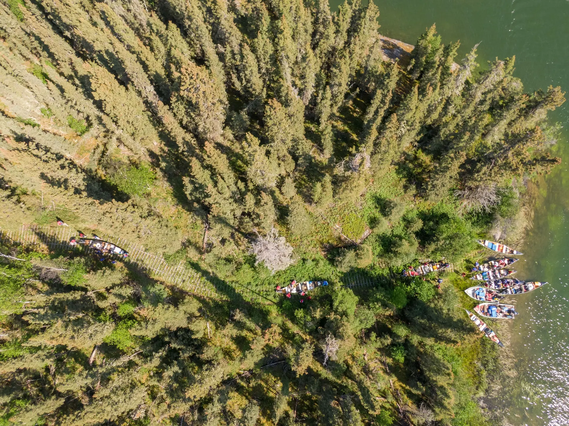 Photographie aérienne par drone du portage des rapides Seagull par un après-midi ensoleillé. Les canoës font la queue au bas du portage, alors qu'ils sont transportés en amont, un par un, par des équipes de personnes sur des chemins taillés à travers une forêt de conifères.