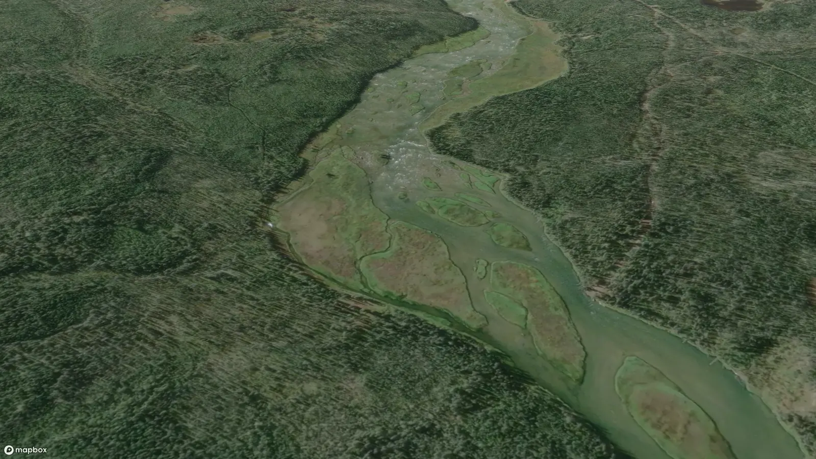 Vue aérienne du paysage forestier et fluvial de Nàı̨lı̨ı̨hoteè. Une large rivière traverse une forêt dense, avec des sentiers visibles partant de la rive et remontant les deux côtés de la rivière.