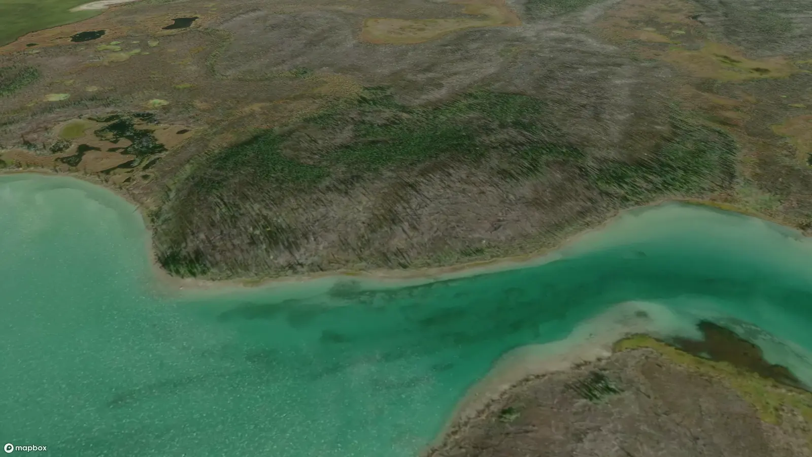 Satellite view of the forest and river near an unknown grave on the Whatì Trail. The grave is surrounded by a dense patch of coniferous trees, next to a shallow jade green river with sandy shores.